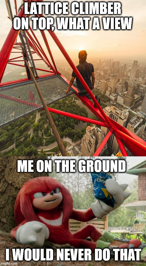 Enjoy the ground | LATTICE CLIMBER ON TOP, WHAT A VIEW; ME ON THE GROUND; I WOULD NEVER DO THAT | image tagged in gittersteigen,knuckles,climbing meme,lattice climbing,freesolo,daredevil | made w/ Imgflip meme maker