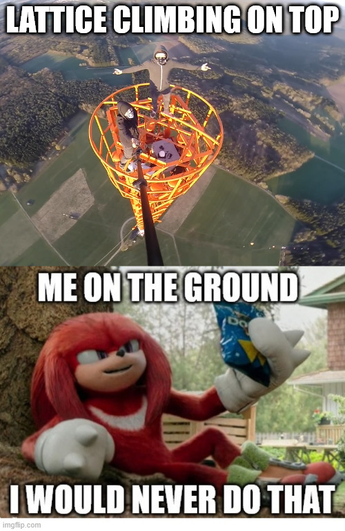 Being lazy and safe on the ground | LATTICE CLIMBING ON TOP | image tagged in lattice climbing,climbing,memes,sonic the hedgehog,germany,knuckles | made w/ Imgflip meme maker