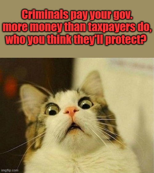 Follow the Money | Criminals pay your gov. more money than taxpayers do, who you think they'll protect? | image tagged in memes,scared cat | made w/ Imgflip meme maker