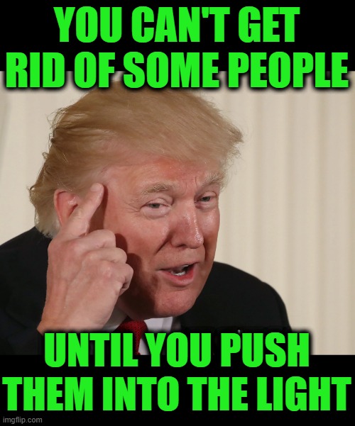 Trump Roll Safe, Think About It | YOU CAN'T GET RID OF SOME PEOPLE; UNTIL YOU PUSH THEM INTO THE LIGHT | image tagged in trump,roll safe,think about it | made w/ Imgflip meme maker