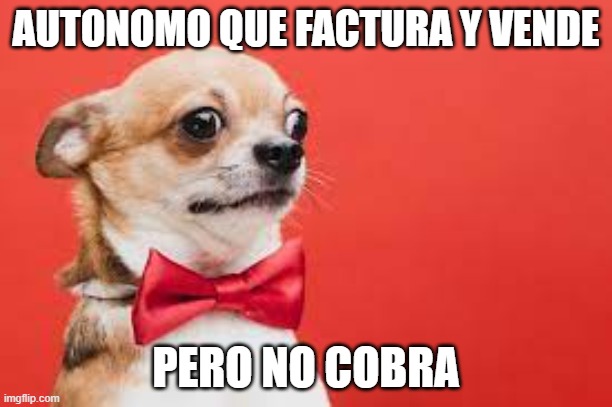 Flujo de caja | AUTONOMO QUE FACTURA Y VENDE; PERO NO COBRA | image tagged in cara susto | made w/ Imgflip meme maker