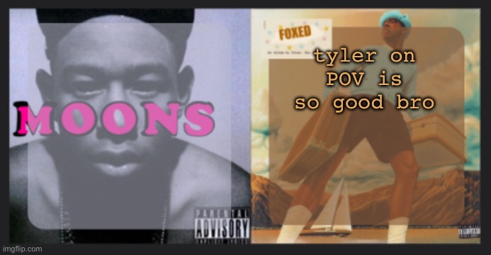 moons and foxed shared temp | tyler on POV is so good bro | image tagged in moons and foxed shared temp | made w/ Imgflip meme maker