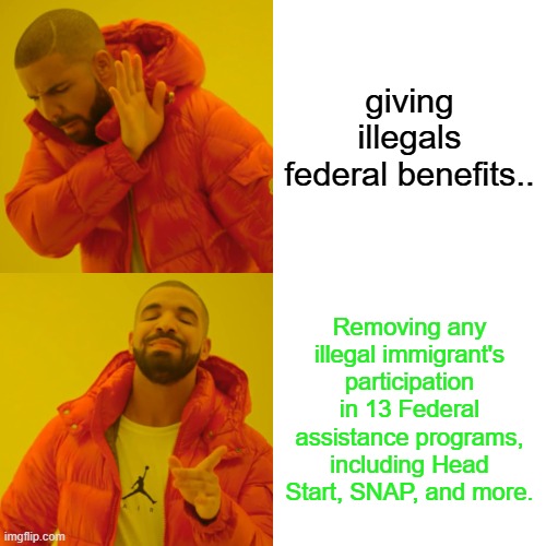 Drake Hotline Bling | giving illegals federal benefits.. Removing any illegal immigrant's participation in 13 Federal assistance programs, including Head Start, SNAP, and more. | image tagged in memes,drake hotline bling | made w/ Imgflip meme maker