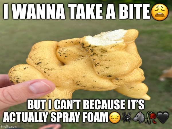 I’m emo now?? | I WANNA TAKE A BITE😩; BUT I CAN’T BECAUSE IT’S ACTUALLY SPRAY FOAM😔🕷️🐺🥀🖤 | made w/ Imgflip meme maker