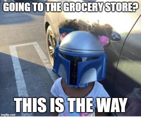 Off to the Grocery Store | GOING TO THE GROCERY STORE? THIS IS THE WAY | image tagged in the mandalorian | made w/ Imgflip meme maker
