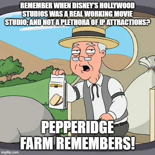 Aw man... | REMEMBER WHEN DISNEY'S HOLLYWOOD STUDIOS WAS A REAL WORKING MOVIE STUDIO; AND NOT A PLETHORA OF IP ATTRACTIONS? PEPPERIDGE FARM REMEMBERS! | image tagged in memes,pepperidge farm remembers | made w/ Imgflip meme maker