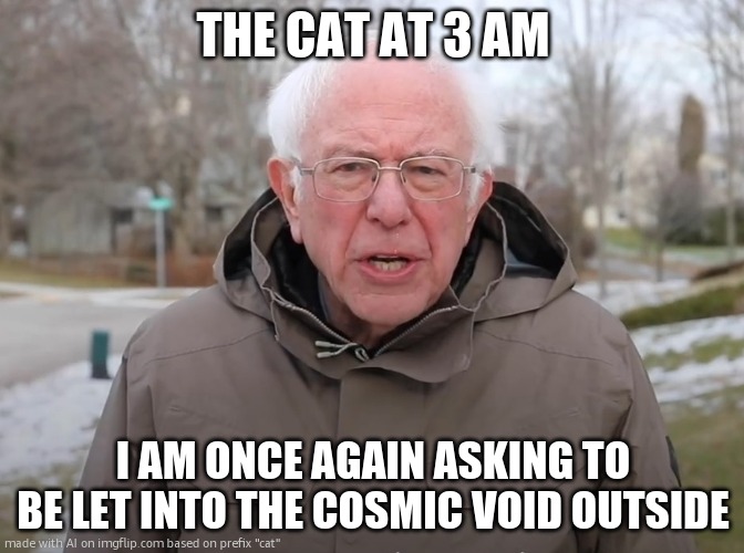 Y u no let me sleep | THE CAT AT 3 AM; I AM ONCE AGAIN ASKING TO BE LET INTO THE COSMIC VOID OUTSIDE | image tagged in bernie sanders once again asking | made w/ Imgflip meme maker