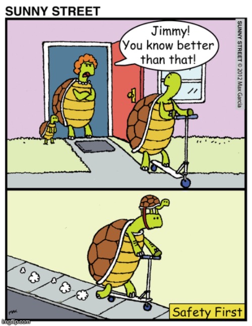 Turtle safety… | image tagged in comics,sunny street,turtle safety | made w/ Imgflip meme maker