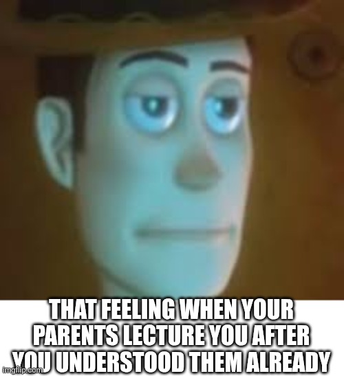 *AUDIBLE GROAN* | THAT FEELING WHEN YOUR PARENTS LECTURE YOU AFTER YOU UNDERSTOOD THEM ALREADY | image tagged in disappointed woody | made w/ Imgflip meme maker