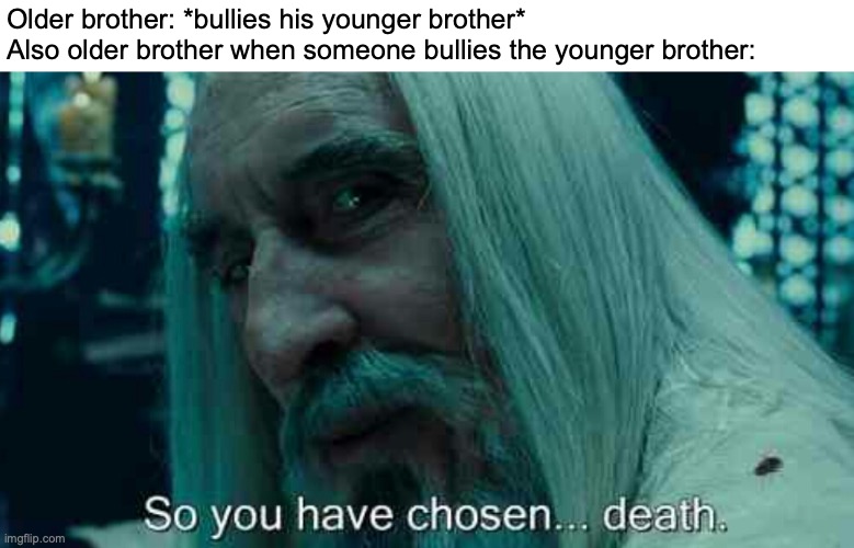 "the only person that can bully him is me" -ahh older brother | Older brother: *bullies his younger brother*
Also older brother when someone bullies the younger brother: | image tagged in so you have chosen death,funny,memes,siblings,for real,bullying | made w/ Imgflip meme maker