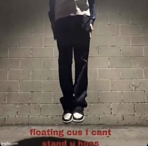 Floating cus I cant stand u hoes | image tagged in floating cus i cant stand u hoes | made w/ Imgflip meme maker