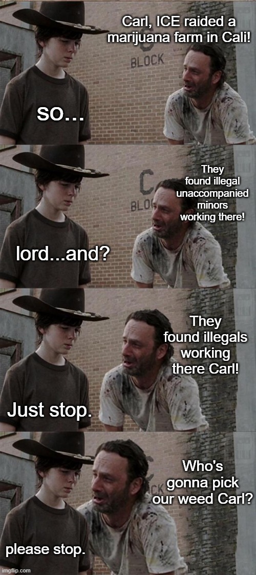 Democrats in 2025:  Who's gonna pick our crops?  Who's gonna wipe our a$$?  Who's gonna pick our weed? | Carl, ICE raided a marijuana farm in Cali! so... They found illegal unaccompanied minors working there! lord...and? They found illegals working there Carl! Just stop. Who's gonna pick our weed Carl? please stop. | image tagged in memes,rick and carl long | made w/ Imgflip meme maker