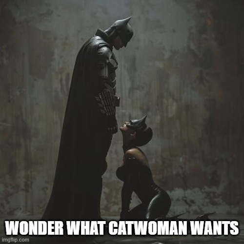 Good Kitty | WONDER WHAT CATWOMAN WANTS | image tagged in catwoman,batman | made w/ Imgflip meme maker