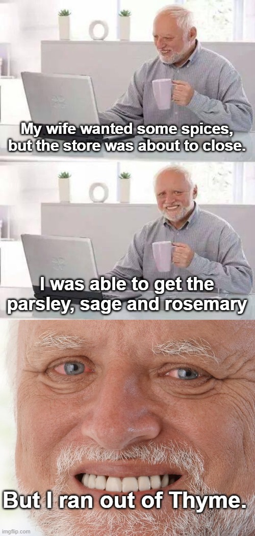 My wife wanted some spices, but the store was about to close. I was able to get the parsley, sage and rosemary; But I ran out of Thyme. | image tagged in hide the pain harold,songs,poems,simon and garfunkel,bad puns,spice | made w/ Imgflip meme maker