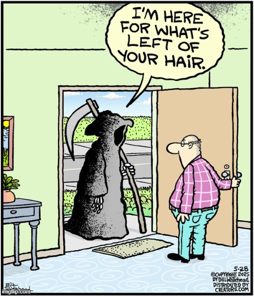Free Range | image tagged in comics | made w/ Imgflip meme maker