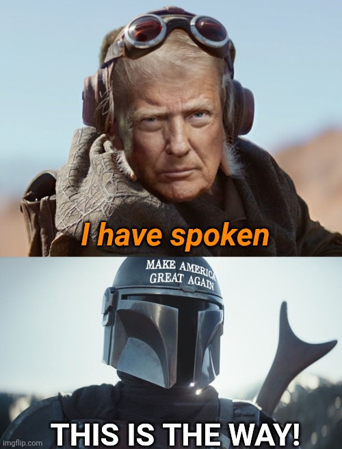 No client list and suicide.Lol | I have spoken; THIS IS THE WAY! | image tagged in trump,maga,epstein,the mandalorian,kuiil | made w/ Imgflip meme maker