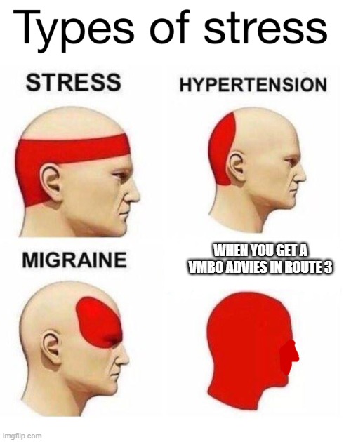 Types of Stress | WHEN YOU GET A VMBO ADVIES IN ROUTE 3 | image tagged in types of stress | made w/ Imgflip meme maker