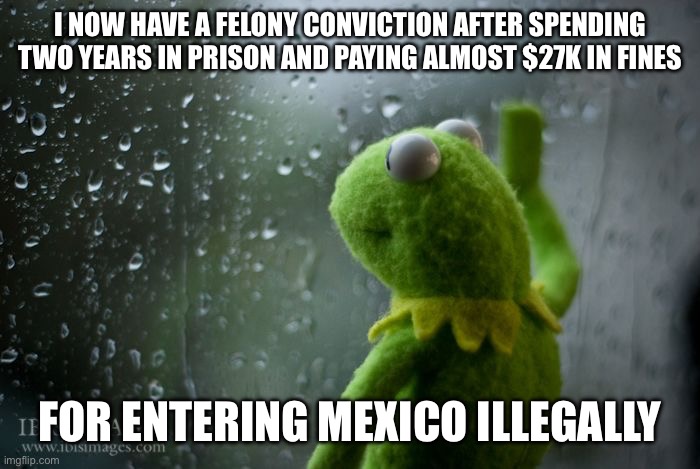 kermit window | I NOW HAVE A FELONY CONVICTION AFTER SPENDING TWO YEARS IN PRISON AND PAYING ALMOST $27K IN FINES; FOR ENTERING MEXICO ILLEGALLY | image tagged in kermit window | made w/ Imgflip meme maker