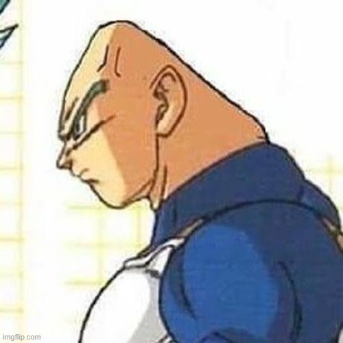 image tagged in bald vegeta | made w/ Imgflip meme maker