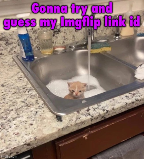 I’m guessing either 9zztx0, 9zzxt0, or 9zztx1 | Gonna try and guess my Imgflip link id | image tagged in baf | made w/ Imgflip meme maker