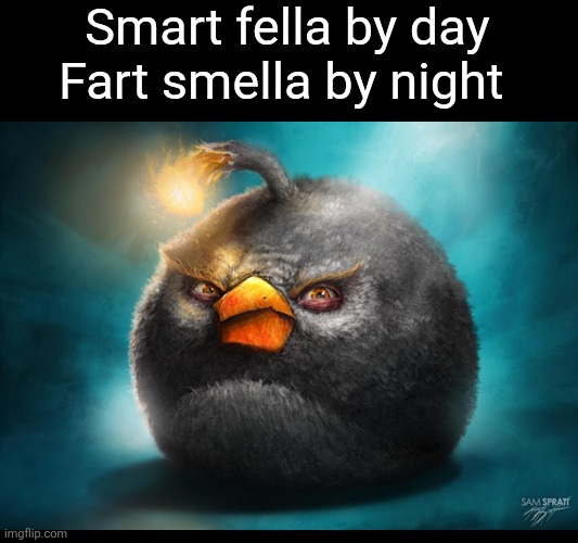 realistic angry birds meme 2 | Smart fella by day
Fart smella by night | image tagged in realistic angry birds meme 2 | made w/ Imgflip meme maker