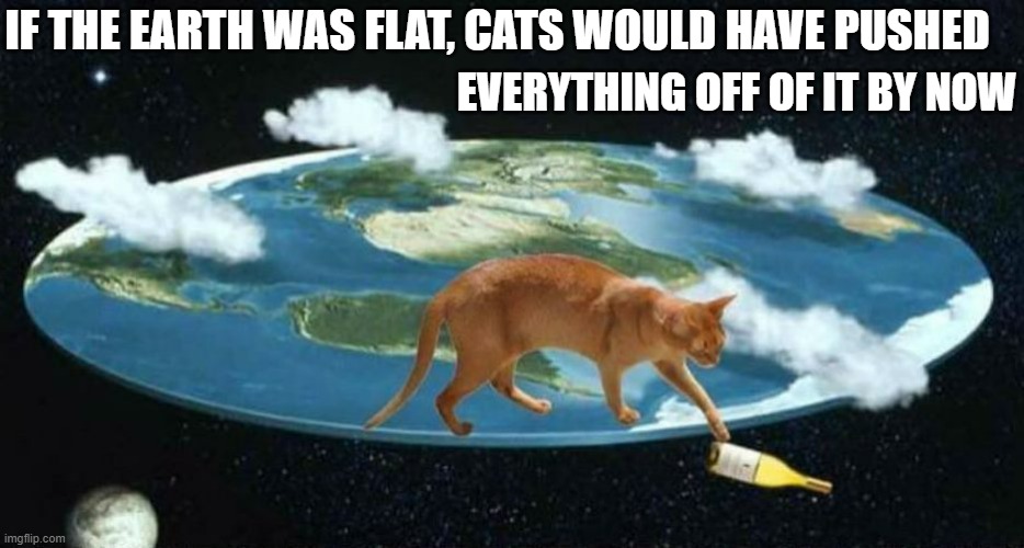 If the earth was flat, cats would have pushed everything over the edge by now. | IF THE EARTH WAS FLAT, CATS WOULD HAVE PUSHED; EVERYTHING OFF OF IT BY NOW | image tagged in cats,funny,flat earth,humor,kittens,flat earthers | made w/ Imgflip meme maker