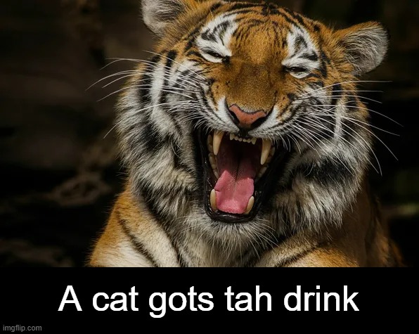 A cat gots tah drink | made w/ Imgflip meme maker