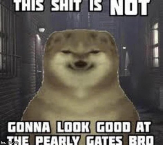 . | image tagged in this shit is not gonna look good at the pearly gates bro | made w/ Imgflip meme maker