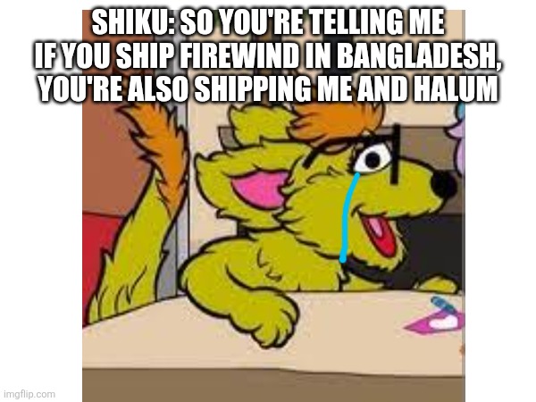 So that's why I'm too nervous to ship them(mistake I forgot india because indians also watch sisimpur) | SHIKU: SO YOU'RE TELLING ME IF YOU SHIP FIREWIND IN BANGLADESH, YOU'RE ALSO SHIPPING ME AND HALUM | image tagged in sesame street,cookie run kingdom,fire,wind,oh wow are you actually reading these tags | made w/ Imgflip meme maker