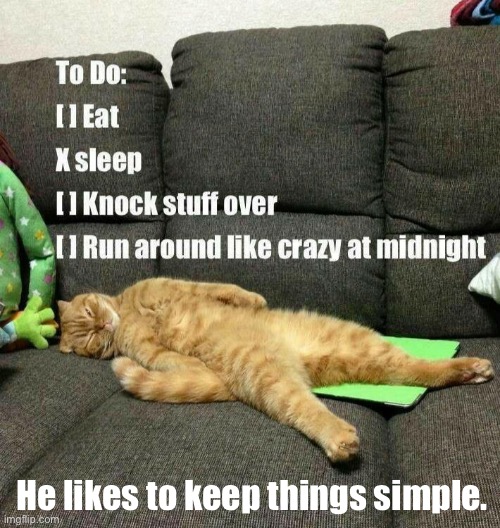 He gets things done… | He likes to keep things simple. | image tagged in cats,to do list,keep things simple | made w/ Imgflip meme maker