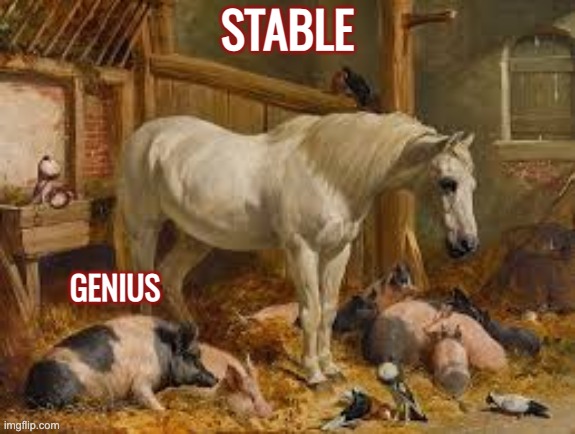 STABLE GENIUS | made w/ Imgflip meme maker