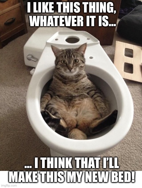 Wait until he sees the new bathtub… | I LIKE THIS THING, 
WHATEVER IT IS…; … I THINK THAT I’LL MAKE THIS MY NEW BED! | image tagged in cats,toilet,my new bed | made w/ Imgflip meme maker