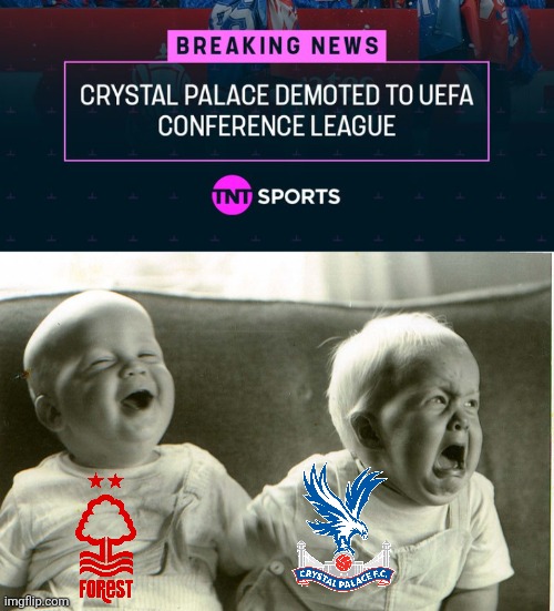 BAD news for Palace, AMAZING news for Forest | image tagged in baby laughing baby crying,nottingham,crystal palace,europa league,conference league,sports | made w/ Imgflip meme maker