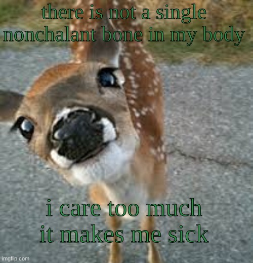 Ashercore: | there is not a single nonchalant bone in my body; i care too much it makes me sick | image tagged in ashercore | made w/ Imgflip meme maker