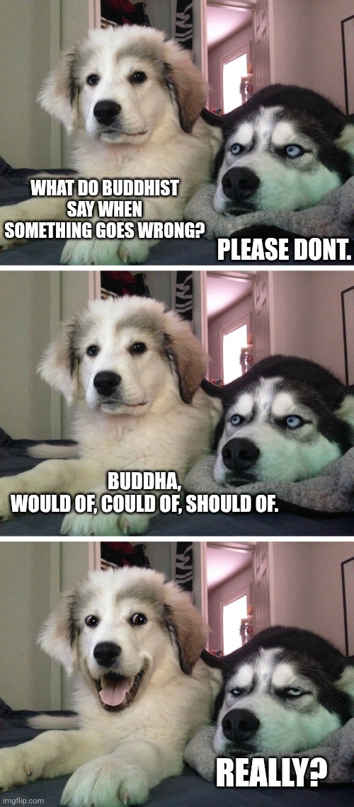Is this joke enlightening? | WHAT DO BUDDHIST SAY WHEN SOMETHING GOES WRONG? PLEASE DONT. BUDDHA, WOULD OF, COULD OF, SHOULD OF. REALLY? | image tagged in bad pun dogs | made w/ Imgflip meme maker