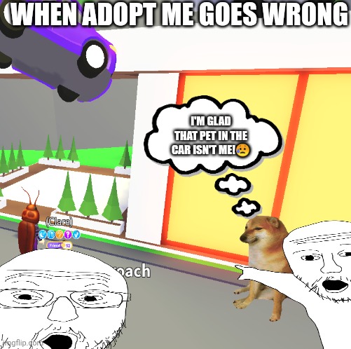 When adopt me goes wrong | WHEN ADOPT ME GOES WRONG; I'M GLAD THAT PET IN THE CAR ISN'T ME!😥 | image tagged in adopt me,roblox,glitch | made w/ Imgflip meme maker
