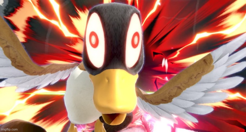 Duck | made w/ Imgflip meme maker