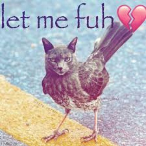 a00fuk | made w/ Imgflip meme maker