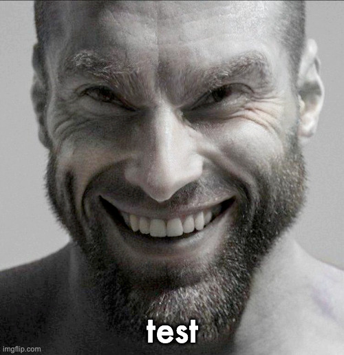 say gex | test | image tagged in smiling gigachad | made w/ Imgflip meme maker