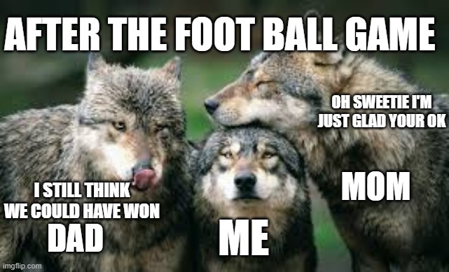 AFTER THE FOOT BALL GAME; OH SWEETIE I'M JUST GLAD YOUR OK; MOM; I STILL THINK WE COULD HAVE WON; ME; DAD | made w/ Imgflip meme maker