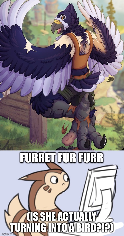 Describe the image above furret | FURRET FUR FURR; (IS SHE ACTUALLY TURNING INTO A BIRD?!?) | image tagged in furret has seen everything | made w/ Imgflip meme maker