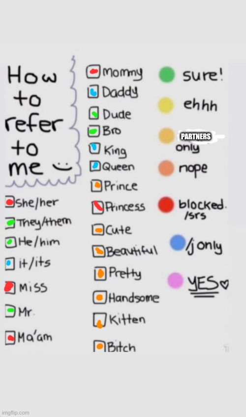 this is a trend in the big gay stream so Ima bring it here | PARTNERS | image tagged in how to refer to me | made w/ Imgflip meme maker