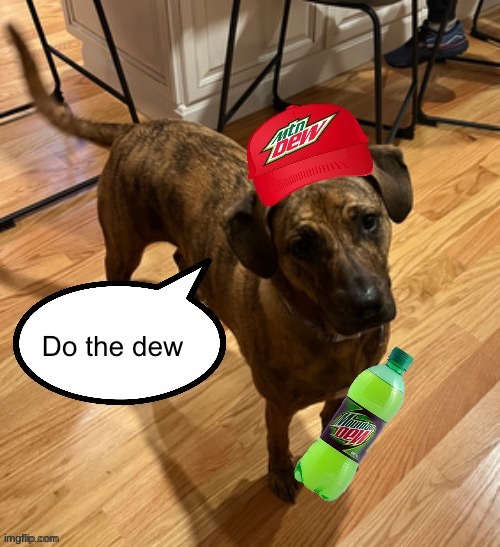 a00iku | image tagged in do the dew | made w/ Imgflip meme maker