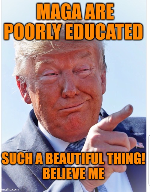 Trump pointing | MAGA ARE POORLY EDUCATED SUCH A BEAUTIFUL THING!
BELIEVE ME | image tagged in trump pointing | made w/ Imgflip meme maker