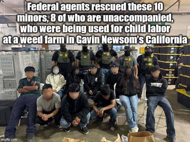 Federal agents just rescued these 10 minors, 8 of who are unaccompanied, who were being used for child labor at a weed farm in G | Federal agents rescued these 10 minors, 8 of who are unaccompanied, who were being used for child labor at a weed farm in Gavin Newsom’s California | image tagged in gavin newson,california,child labor | made w/ Imgflip meme maker
