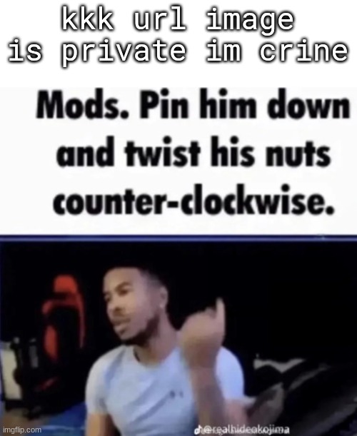 Mods. Pin him down and twist his nuts counter-clockwise. | kkk url image is private im crine | image tagged in mods pin him down and twist his nuts counter-clockwise | made w/ Imgflip meme maker