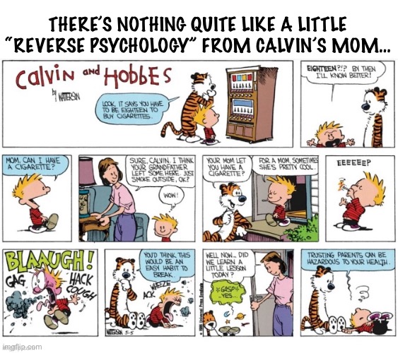 THERE’S NOTHING QUITE LIKE A LITTLE “REVERSE PSYCHOLOGY” FROM CALVIN’S MOM… | image tagged in calvin and hobbes,comics,smoking,reverse psychology | made w/ Imgflip meme maker