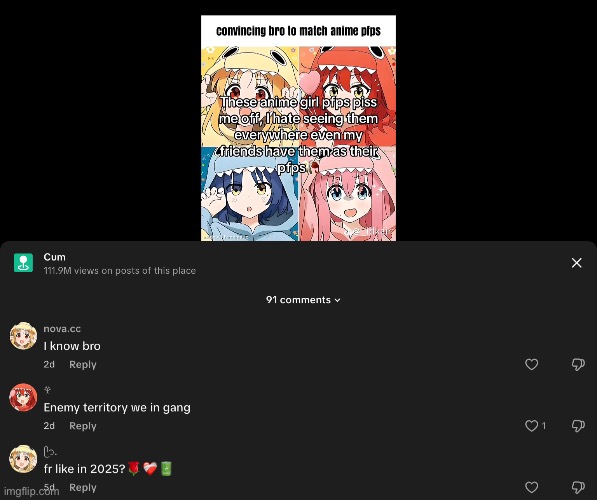 I don’t get the rise of the pfp | made w/ Imgflip meme maker