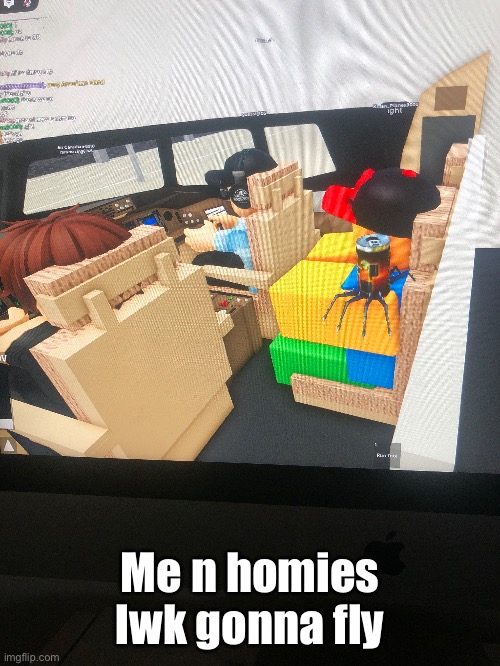 Me n homies lwk gonna fly | made w/ Imgflip meme maker
