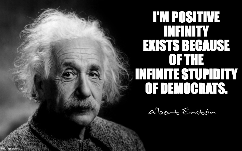 Albert Einstein | I'M POSITIVE INFINITY EXISTS BECAUSE OF THE INFINITE STUPIDITY OF DEMOCRATS. | image tagged in albert einstein | made w/ Imgflip meme maker